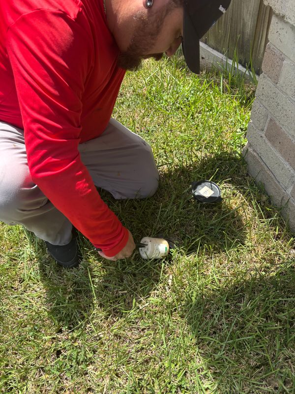 Termite Inspection & Treatment