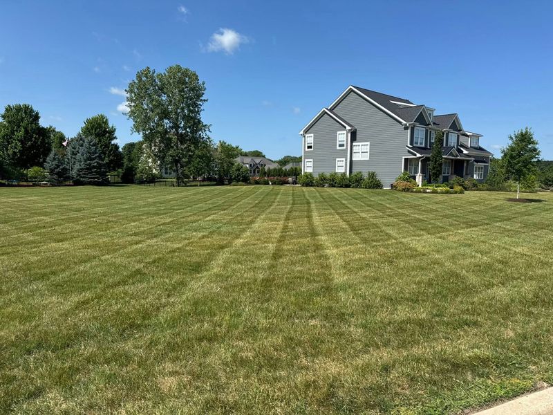 Lawn Mowing