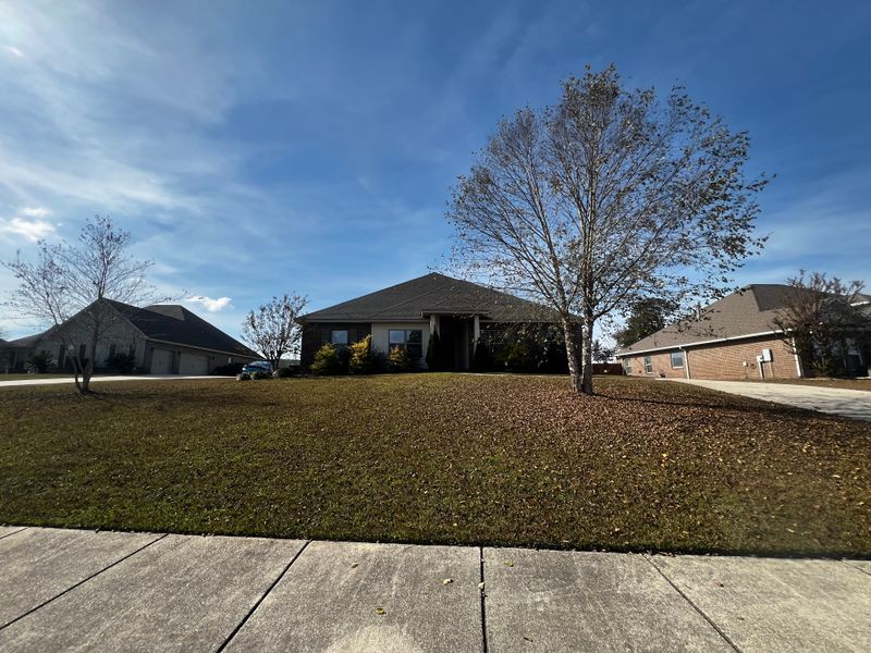 Landscape Maintenance
