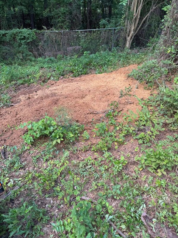 Stump Grinding gallery