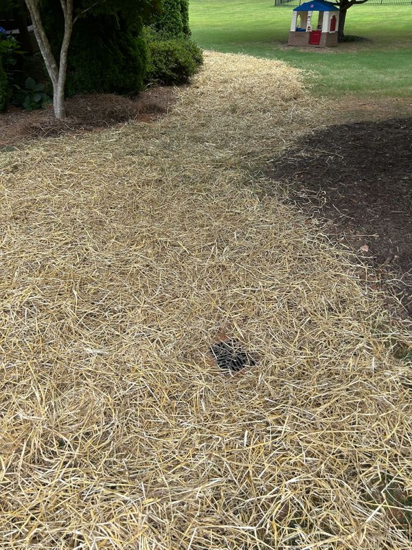 Lawn Drainage - Charlotte, NC
