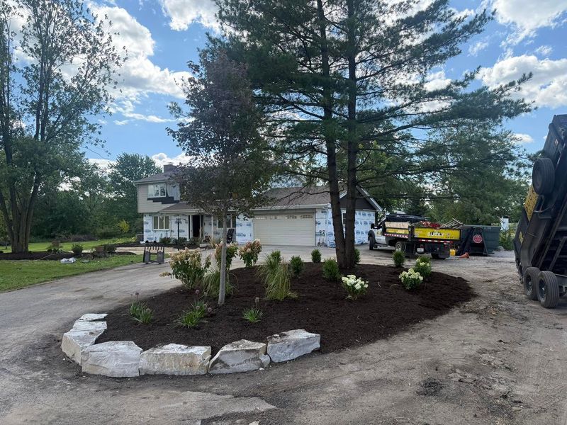 Tree and Shrub Care