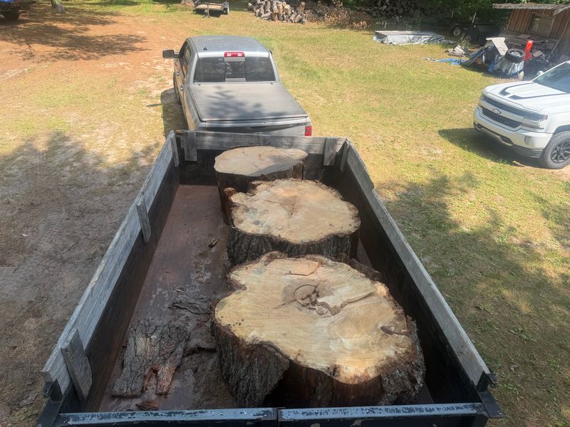 Tree Removal