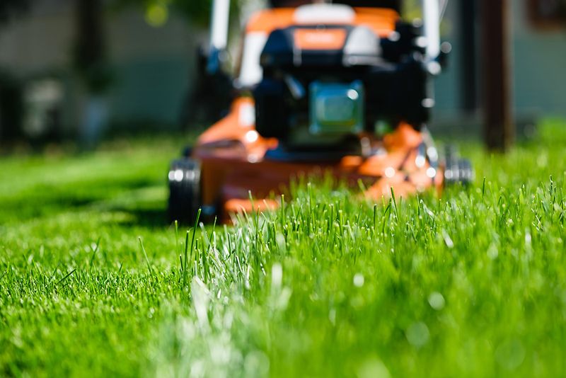 Mowing