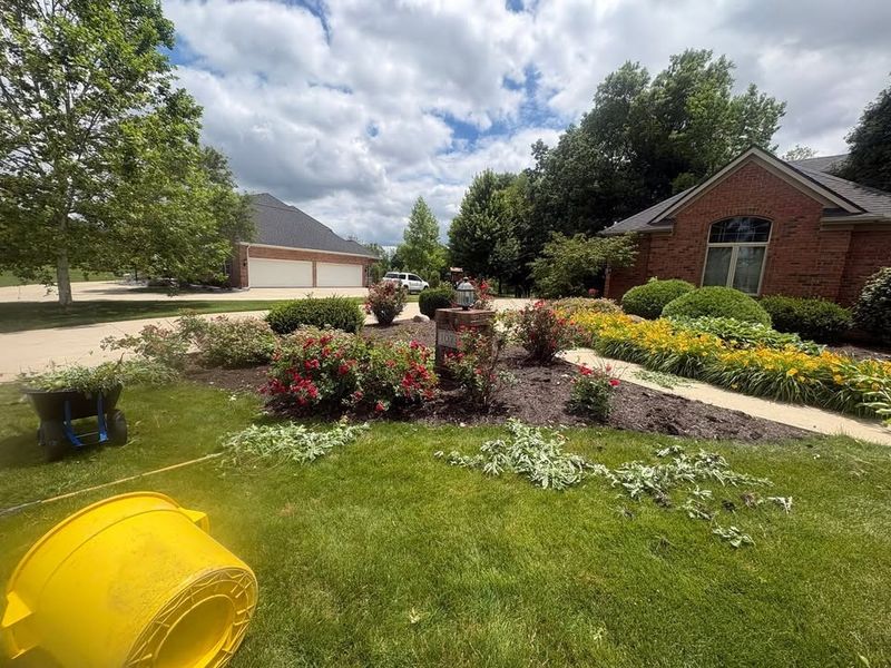 Landscape Design & Installation