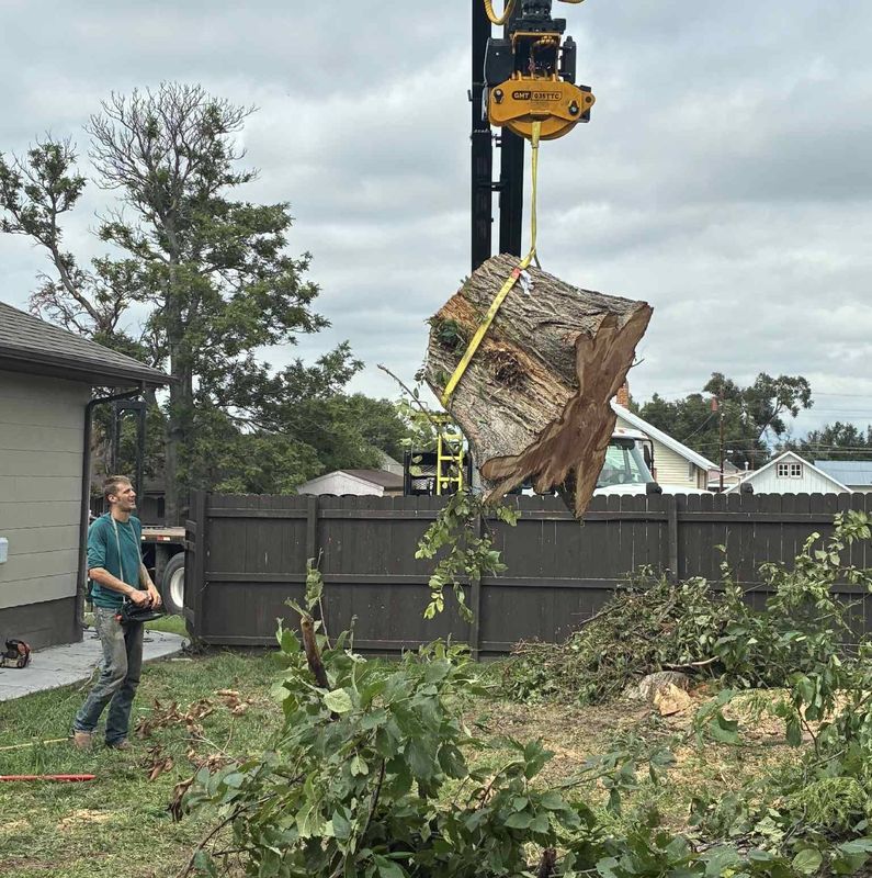 Tree Removal gallery