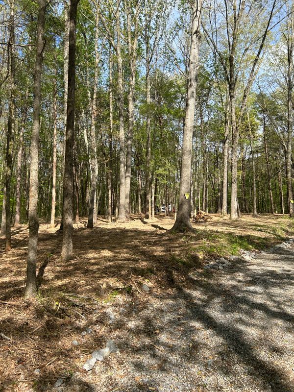 Land Clearing
