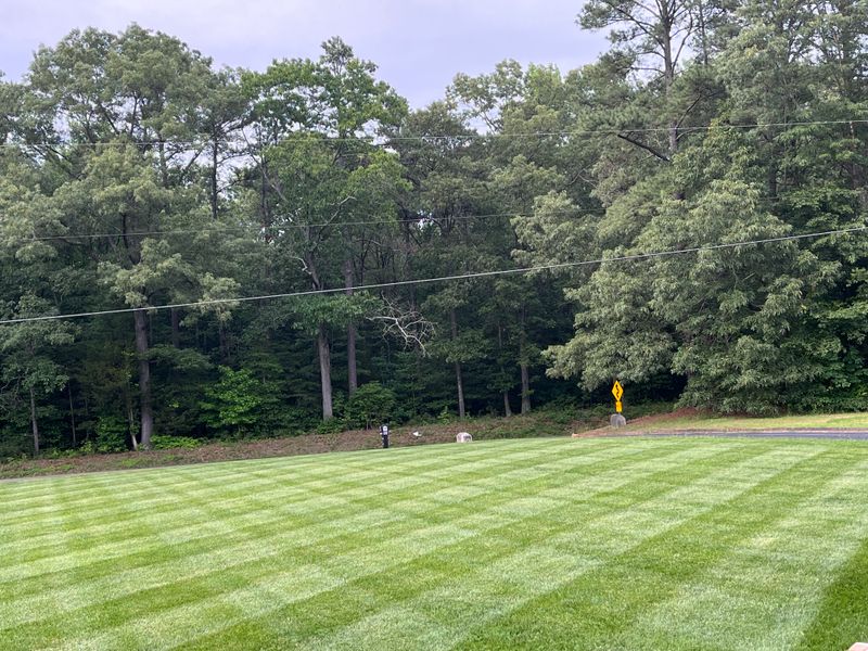 Lawn Care