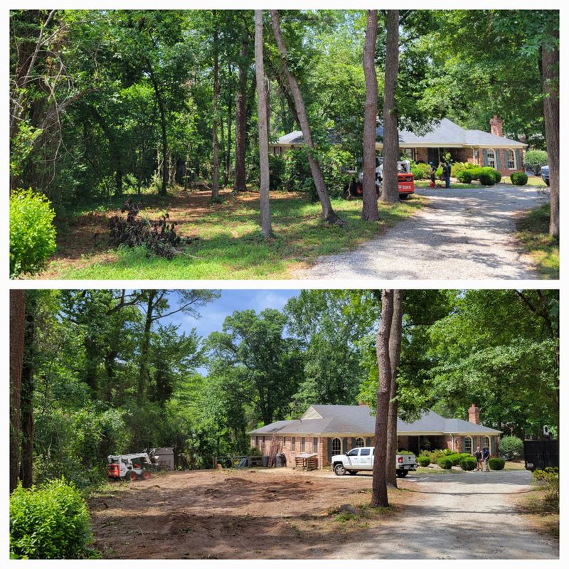 Tree Removal