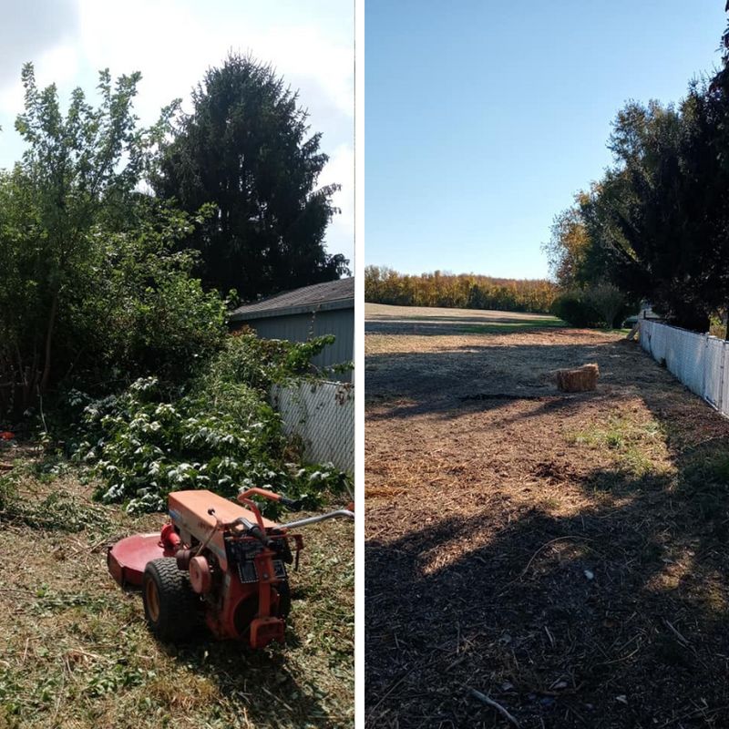 Lawn Care
