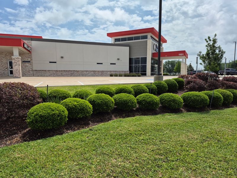 Lawn Maintenance