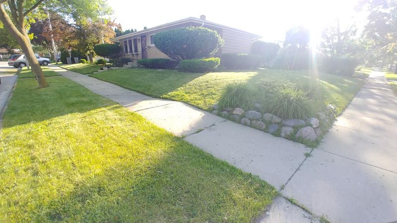 Shrub Trimming