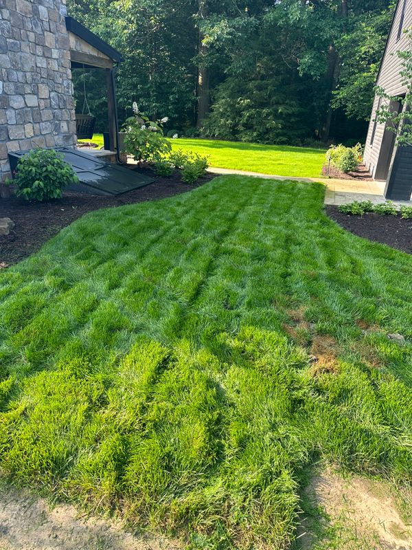 Lawn Installation