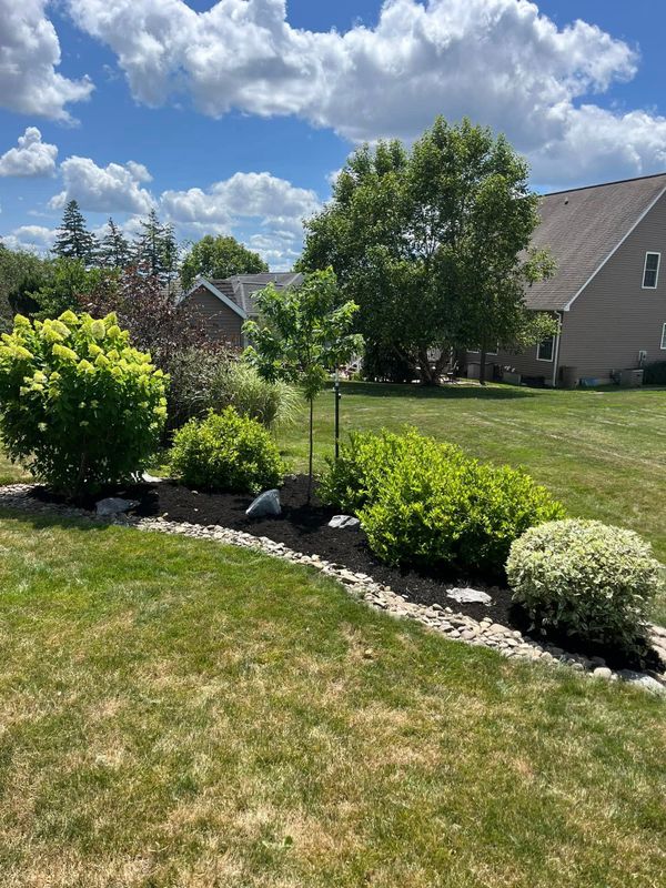 Landscaping