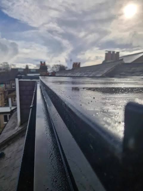 Gutter Cleaning