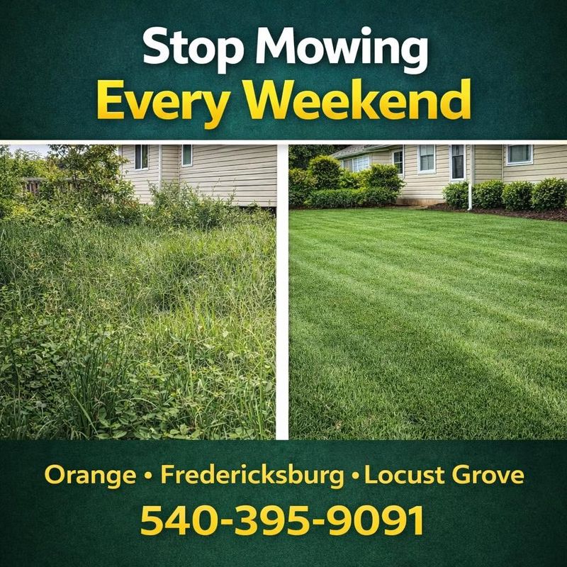 Lawn Maintenance