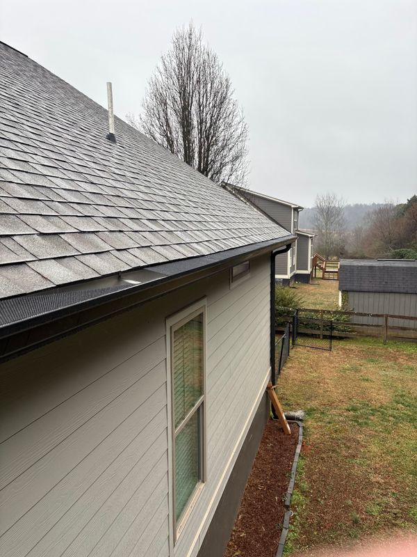 Gutter cleaning