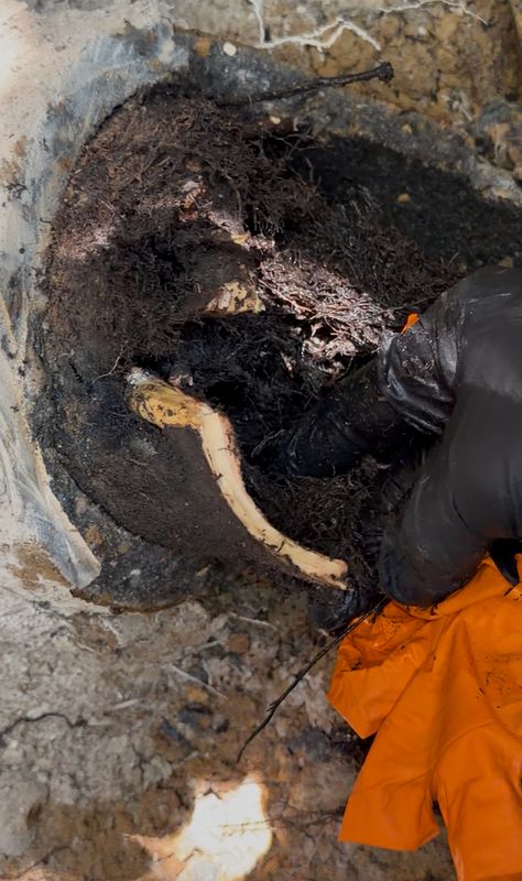 Drain Cleaning and Unclogging