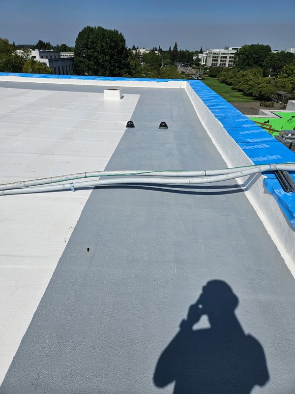 Fluid Applied Roofs