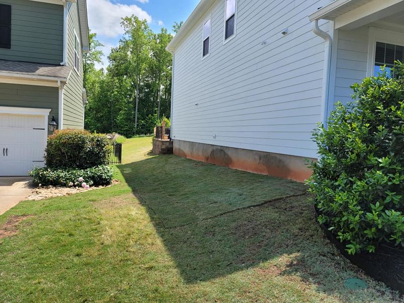 Lawn Maintenance