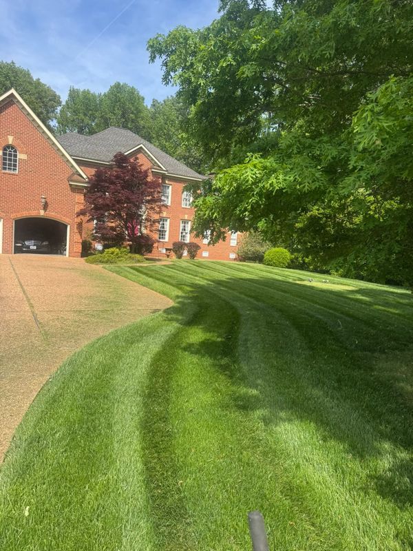 Lawn Mowing