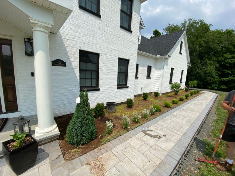 Plant & Shrub Installations