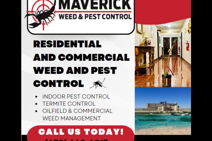Pest Control gallery