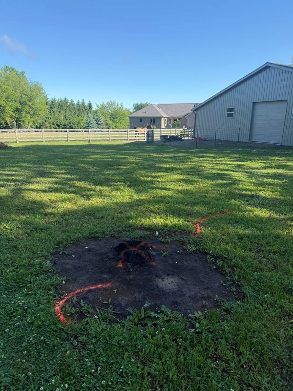 Stump Grinding