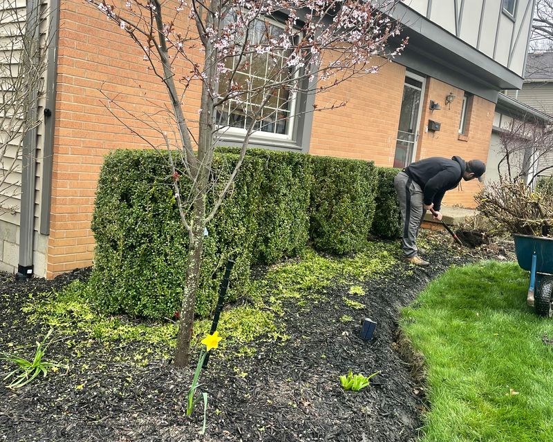 Landscaping