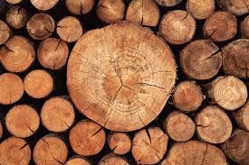 Lumber Yard