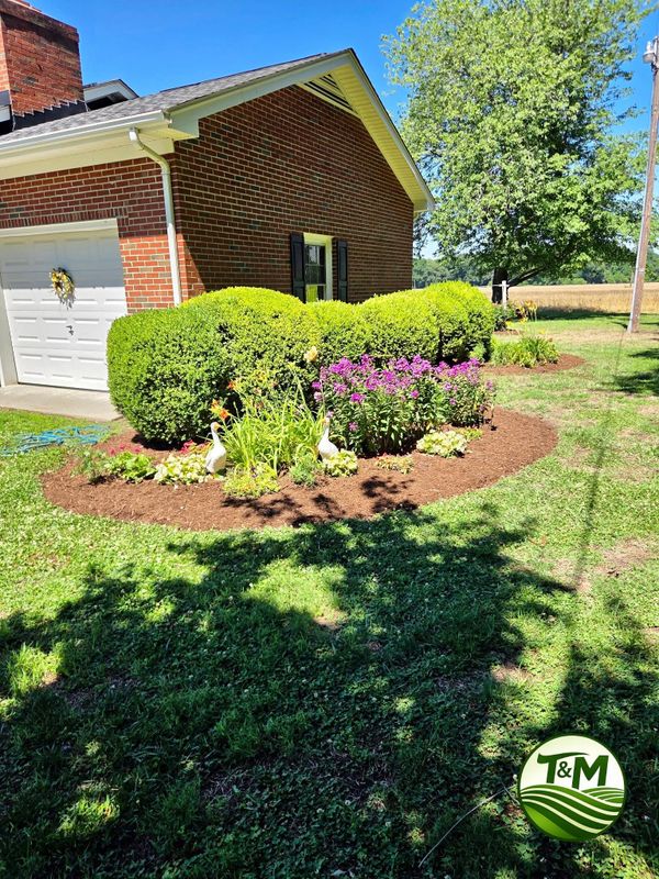 Landscape Design & Installation
