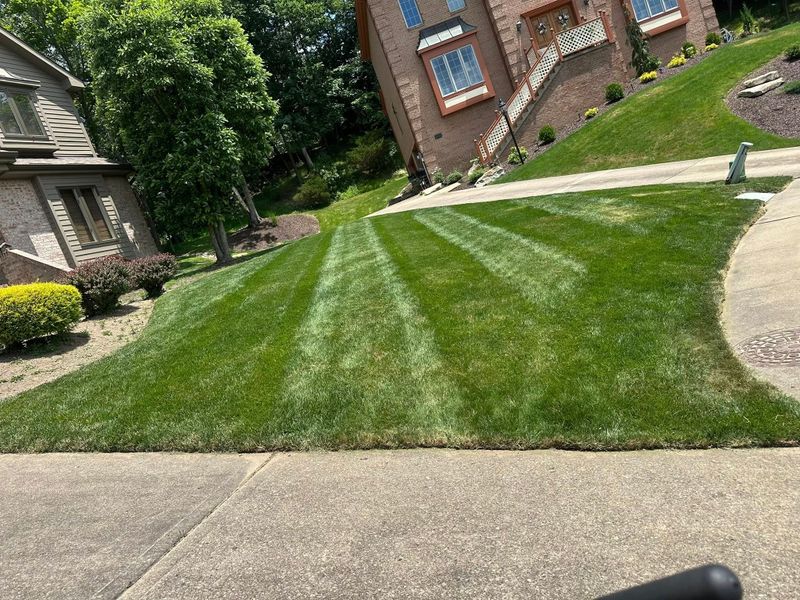 Landscape Design
