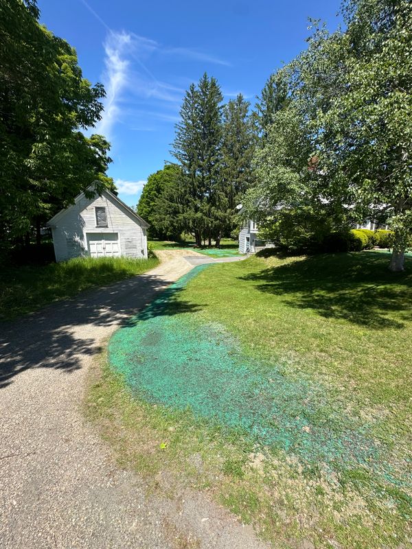Hydroseeding Services