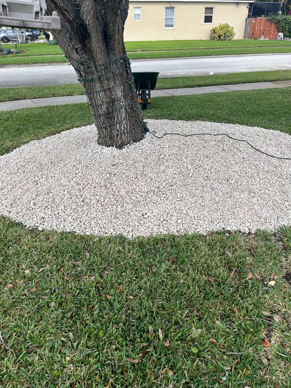 Tree Trimming