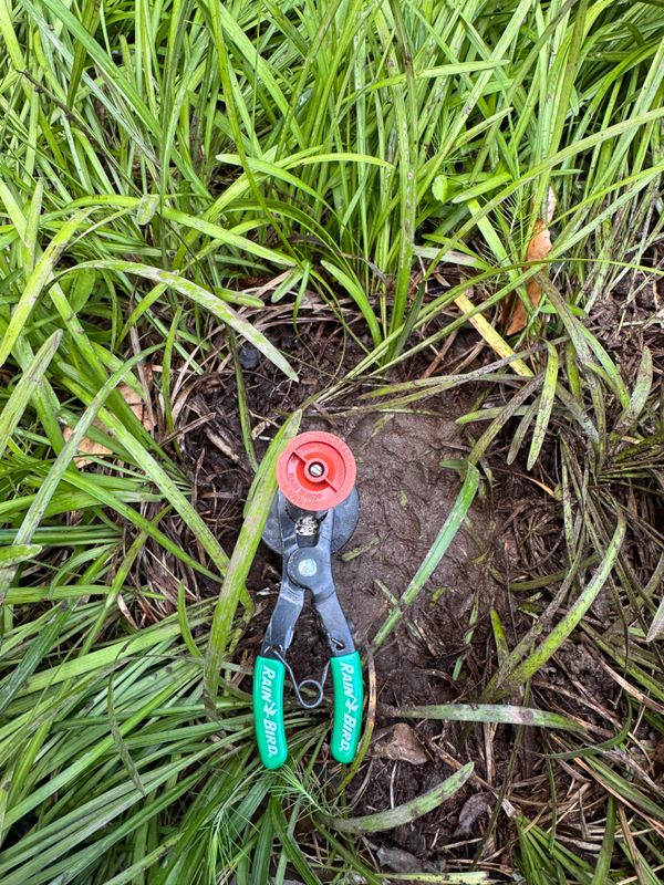 Irrigation
