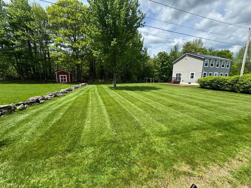 Lawn Maintenance