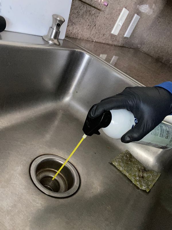 Residential Pest Control