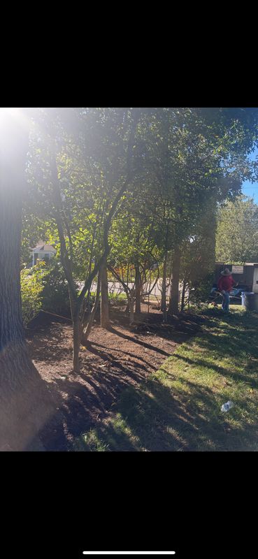 Our Work