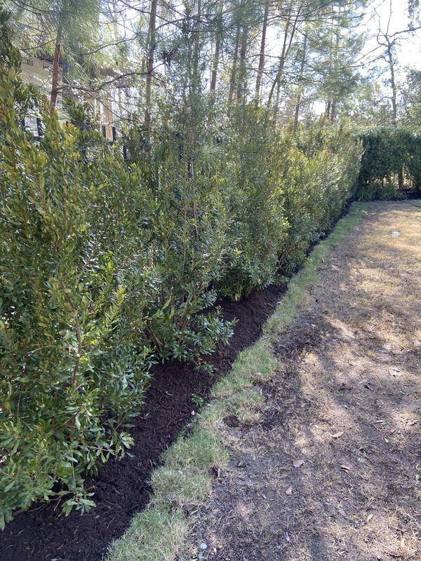 Landscape Installation