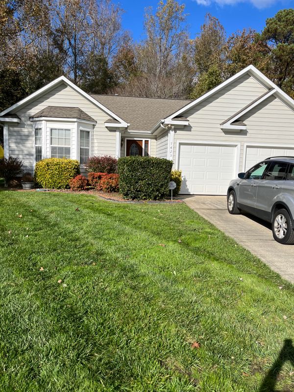 Lawn Care