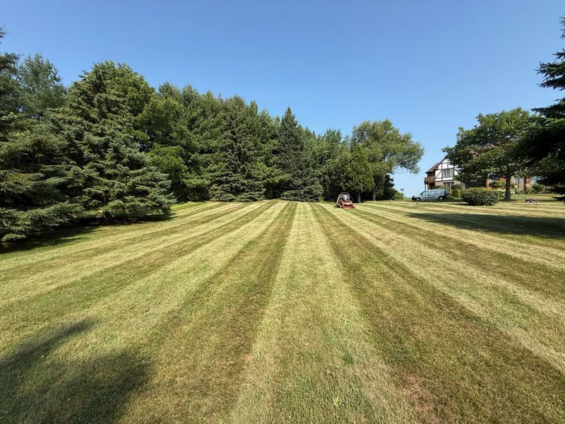 Lawn Mowing