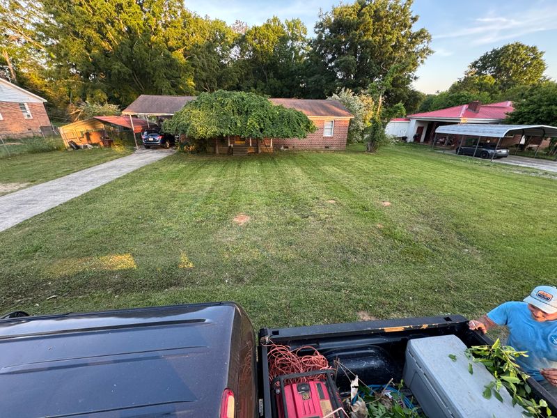 Mowing