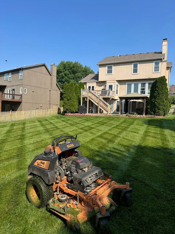 Lawn Mowing