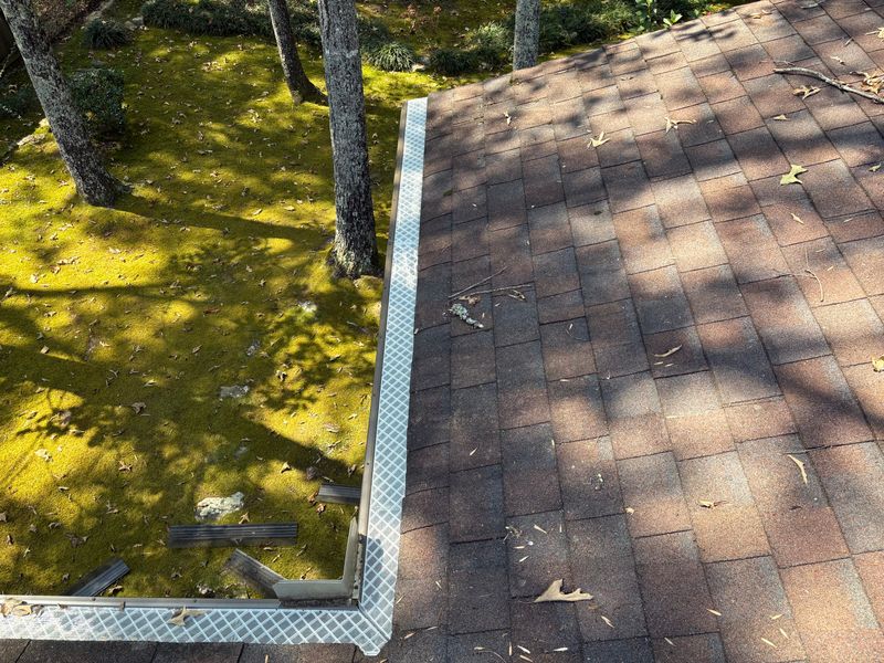 Gutter Cleaning
