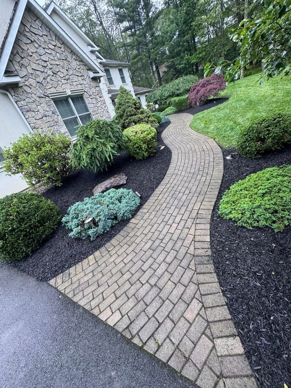 Plant & Shrub Installations