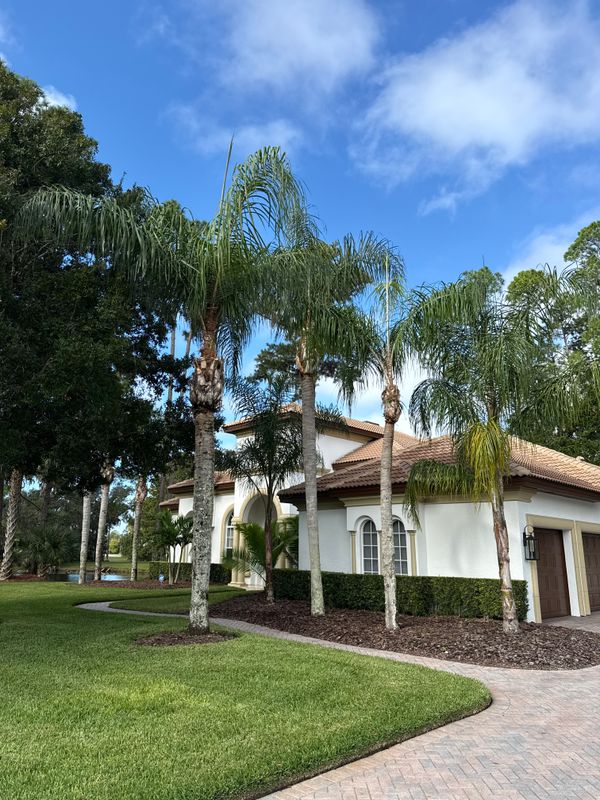 Tree Pruning