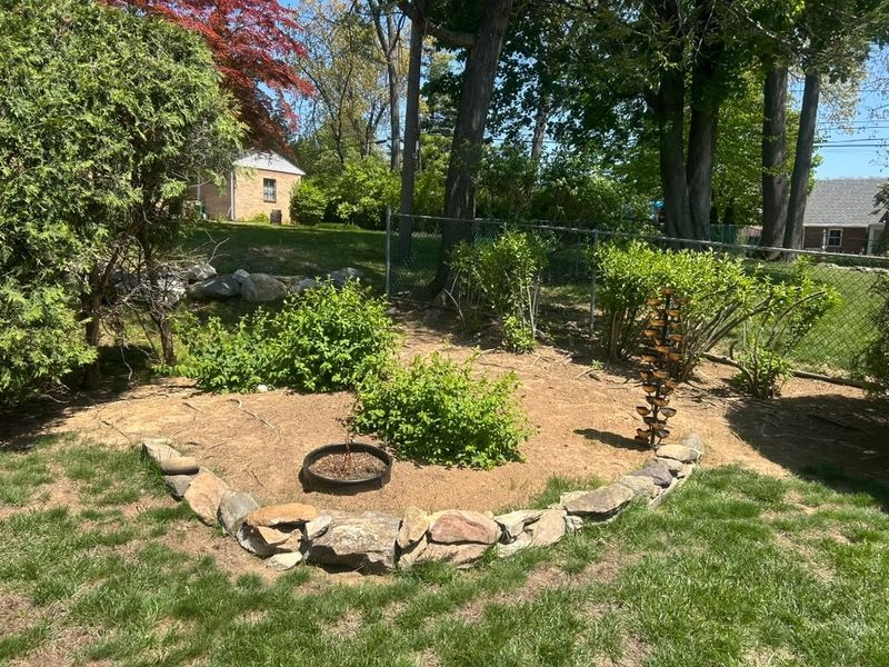 Tree & Shrub Care