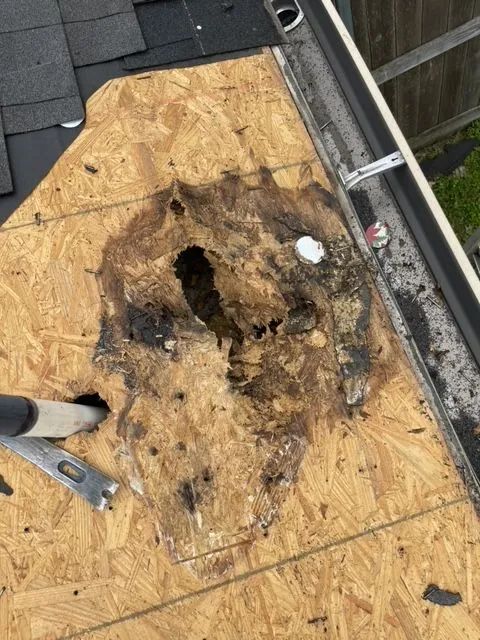 Roofing Repairs