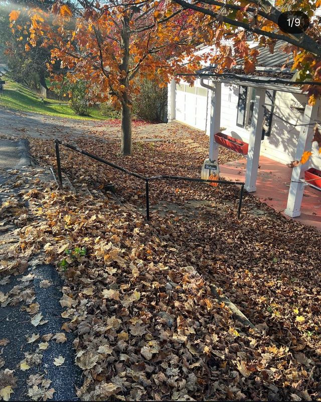 Lawn Care gallery