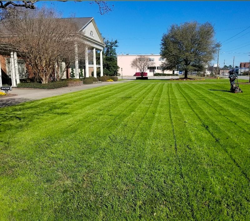 Lawn Maintenance